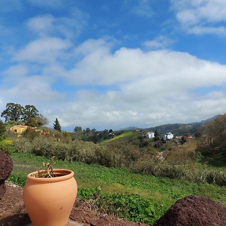 Finca Naturacanaria Moya  Buitenkant foto
