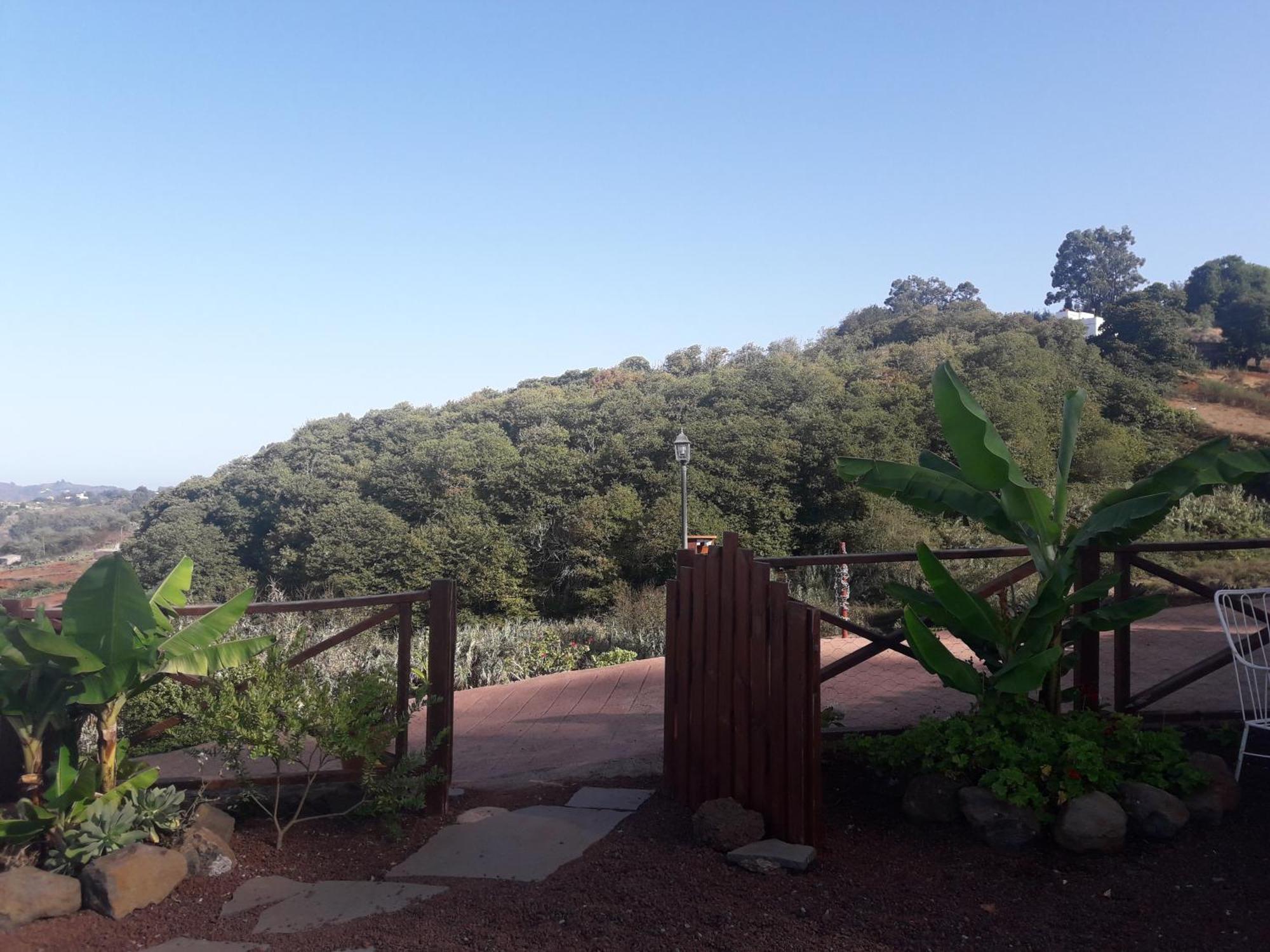 Finca Naturacanaria Moya  Buitenkant foto