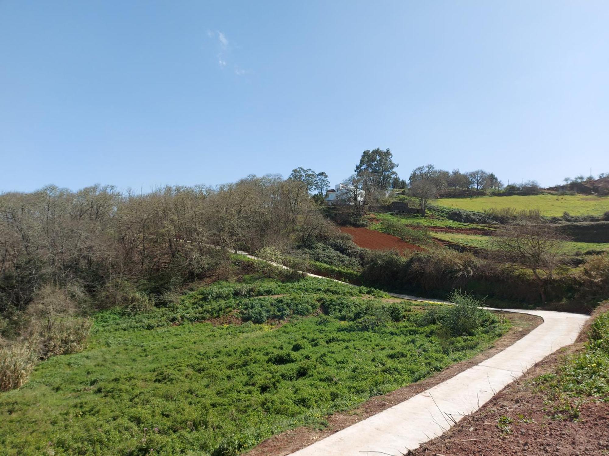 Finca Naturacanaria Moya  Buitenkant foto