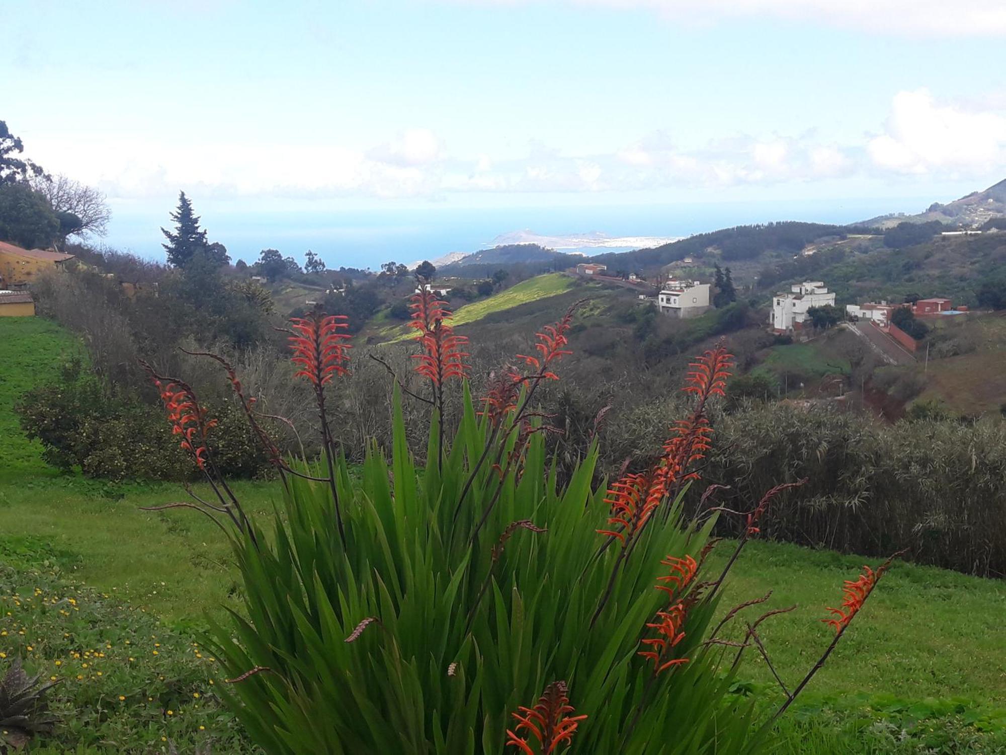 Finca Naturacanaria Moya  Buitenkant foto