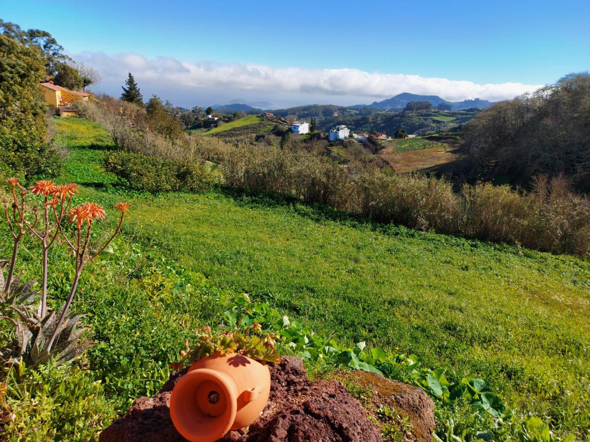 Finca Naturacanaria Moya  Buitenkant foto