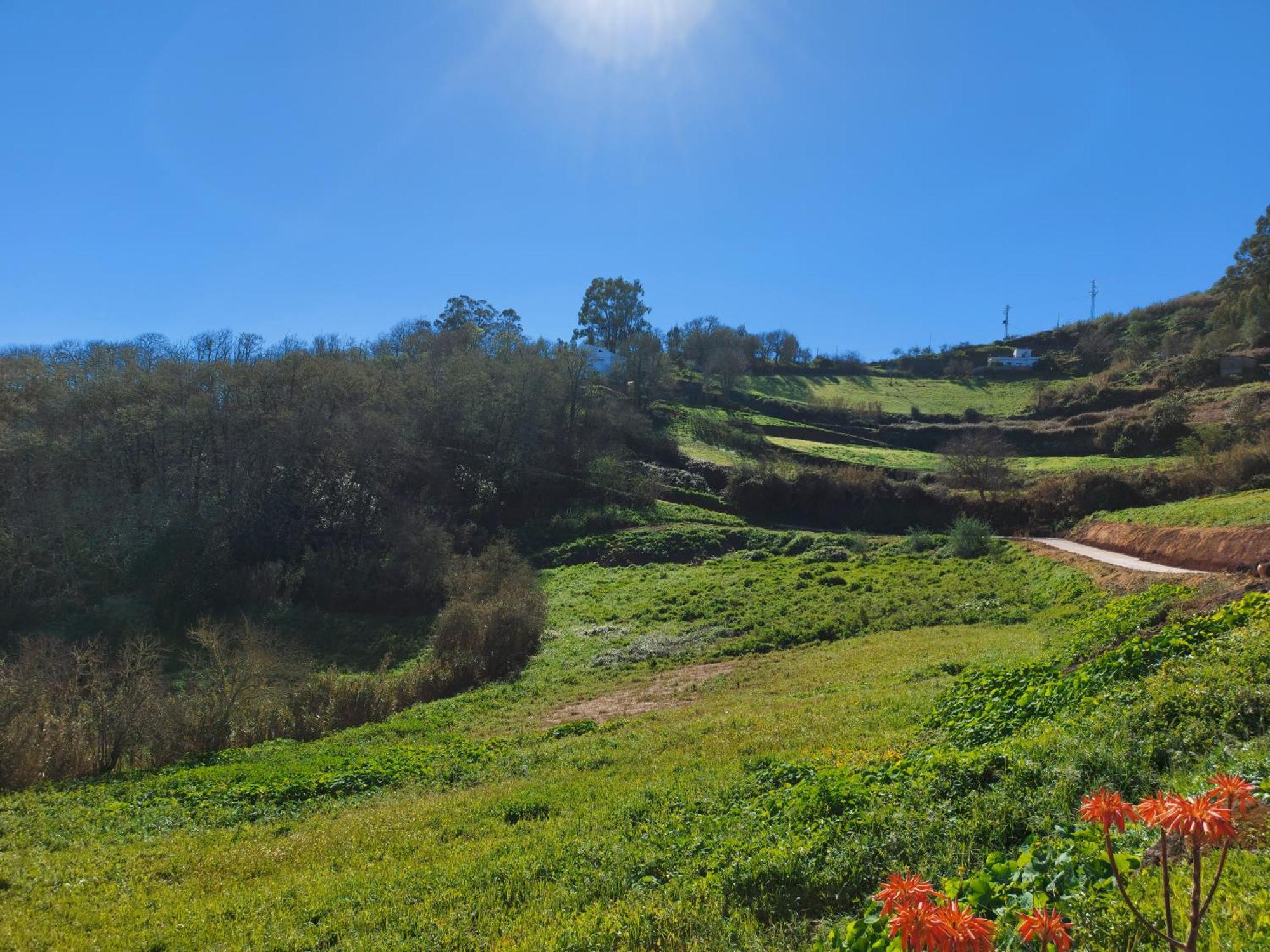 Finca Naturacanaria Moya  Buitenkant foto