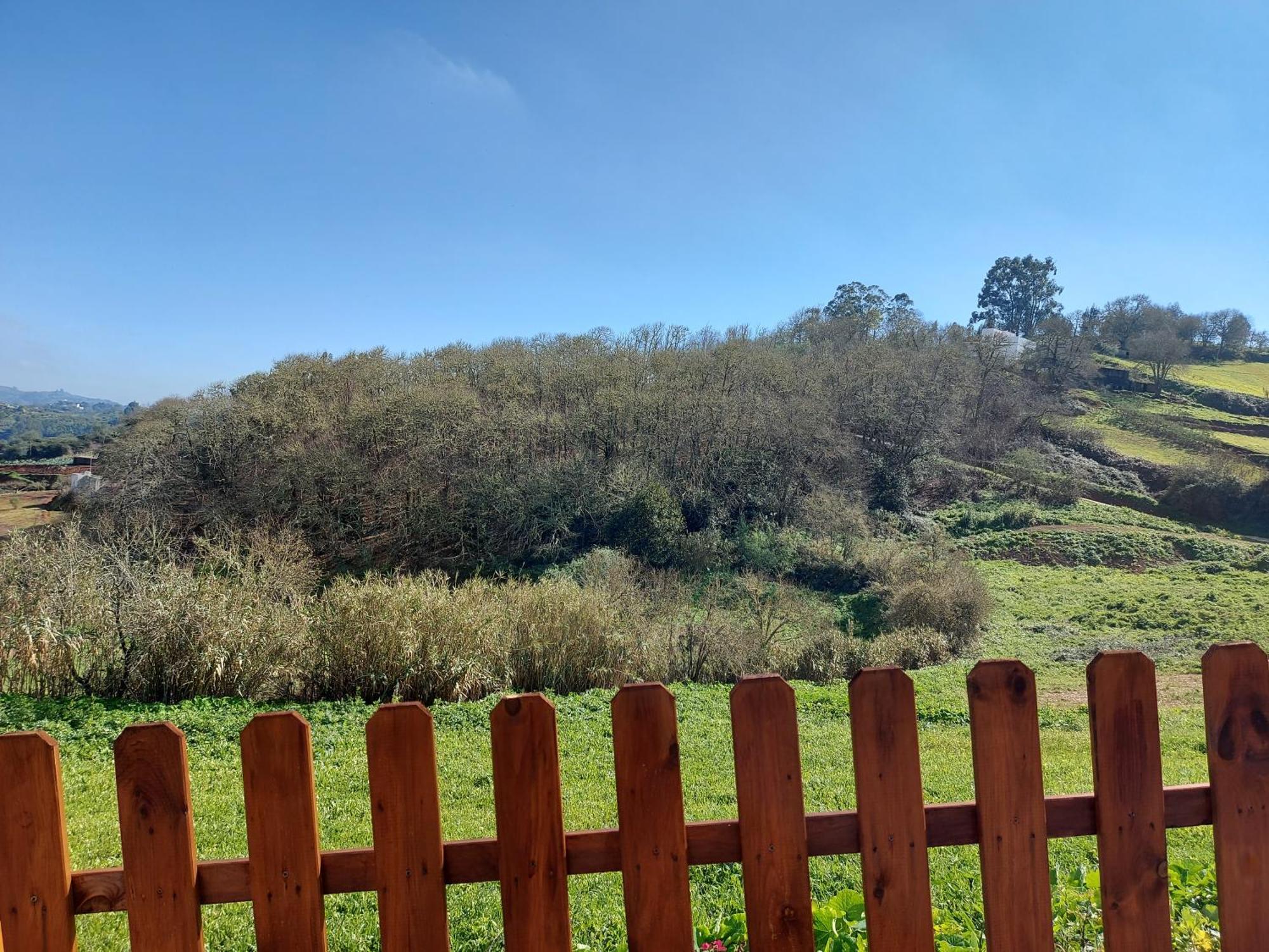 Finca Naturacanaria Moya  Buitenkant foto