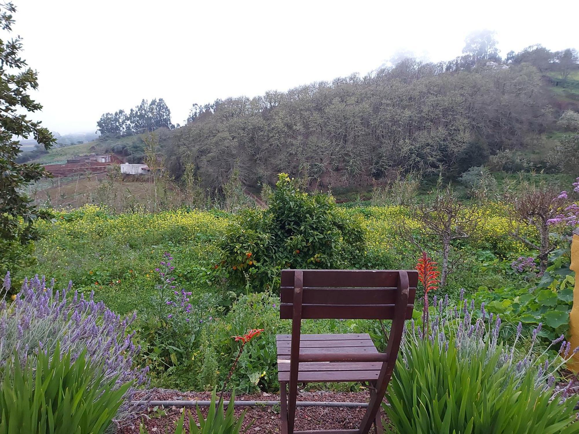 Finca Naturacanaria Moya  Buitenkant foto