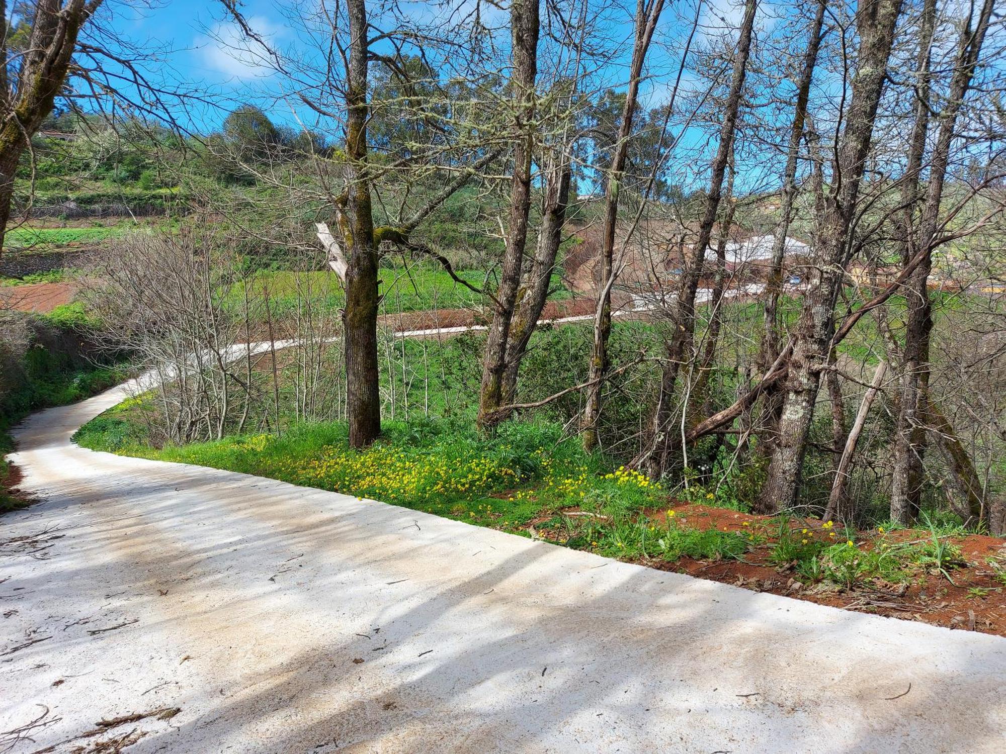 Finca Naturacanaria Moya  Buitenkant foto