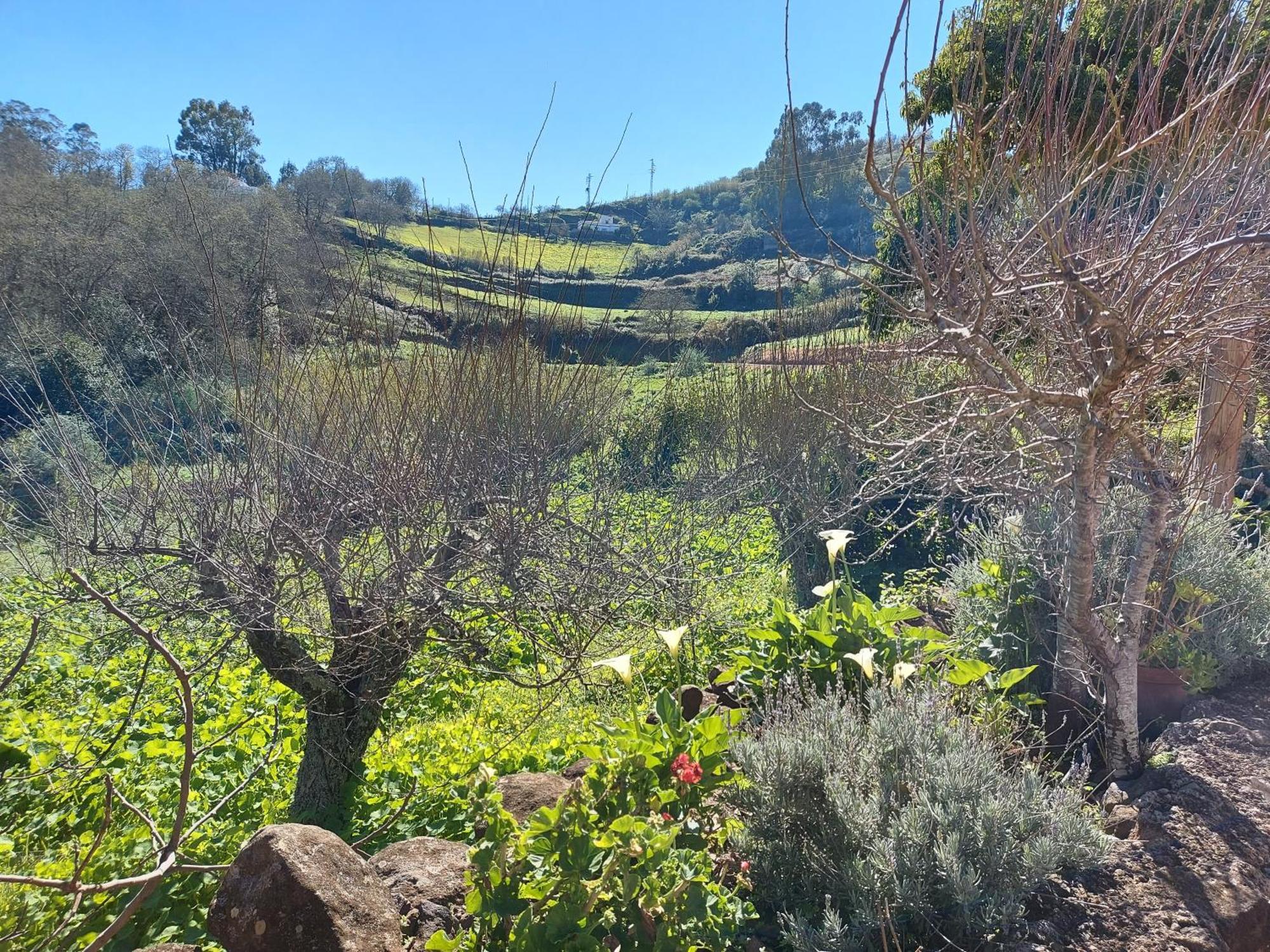 Finca Naturacanaria Moya  Buitenkant foto